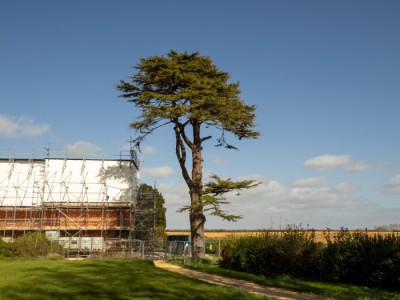 Arboreal Consultancy image from general